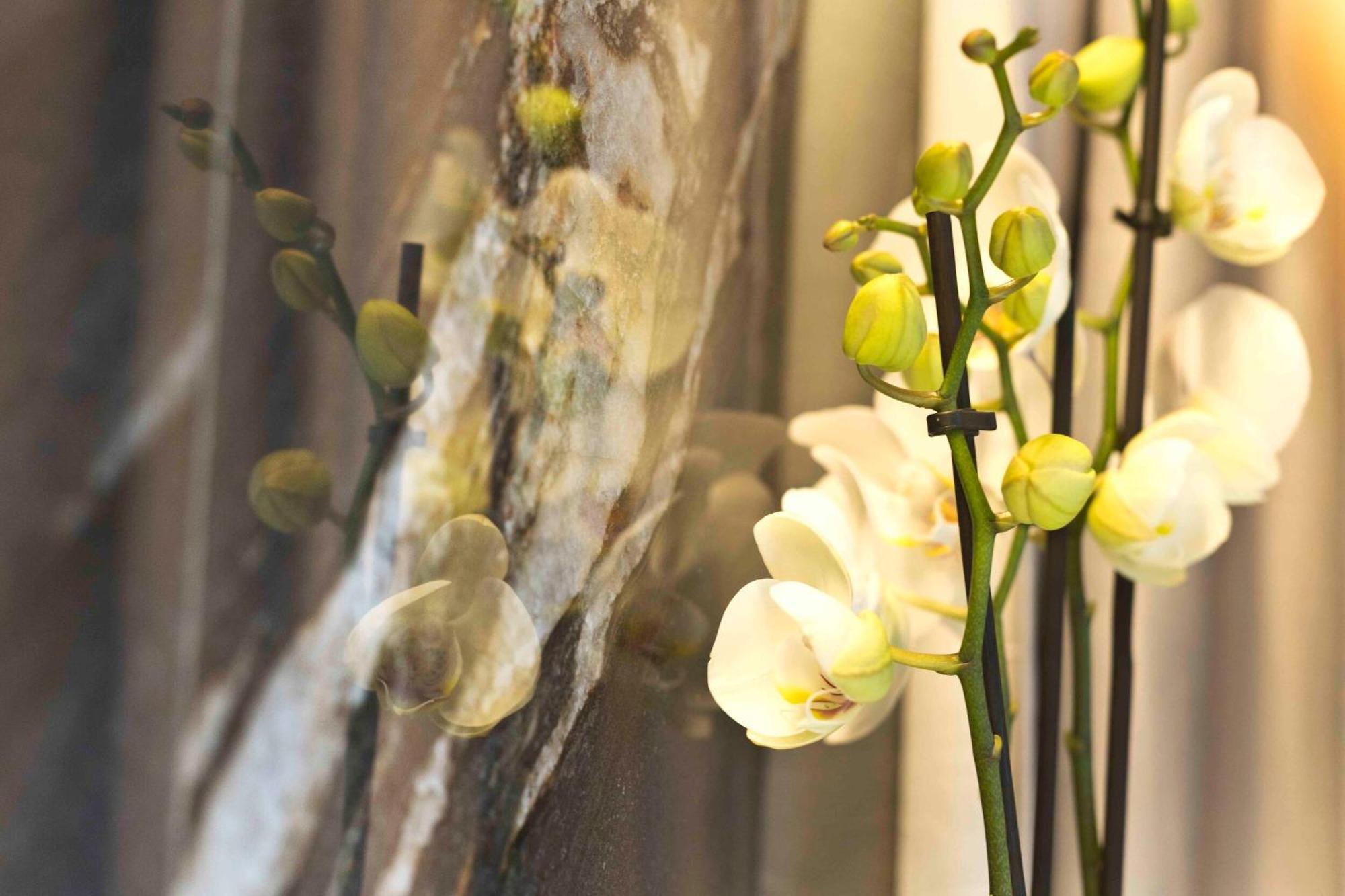 Boutique Hotel Sirmione Bagian luar foto